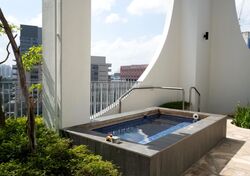 Spottiswoode Suites (D2), Apartment #538426351
